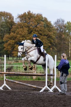 Bild 118 - -